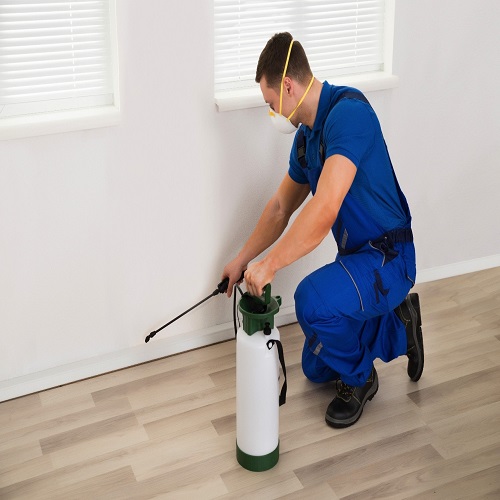 Pest Control